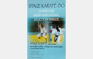 Stage mars 2017